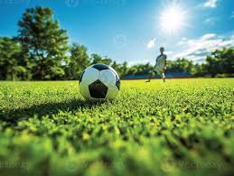 竞猜研究爱好者使用场景